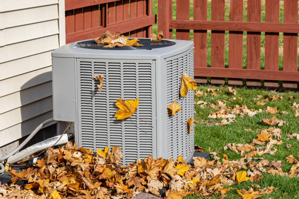 Best HVAC Repair Near Me  in Punta Gorda, FL